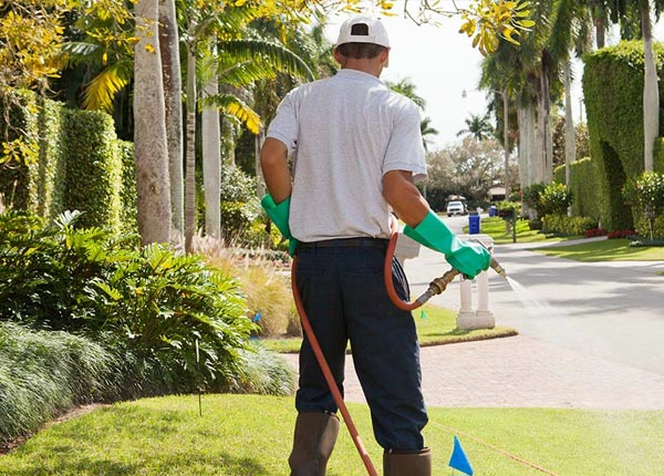 About Cleveland WV Pest Control